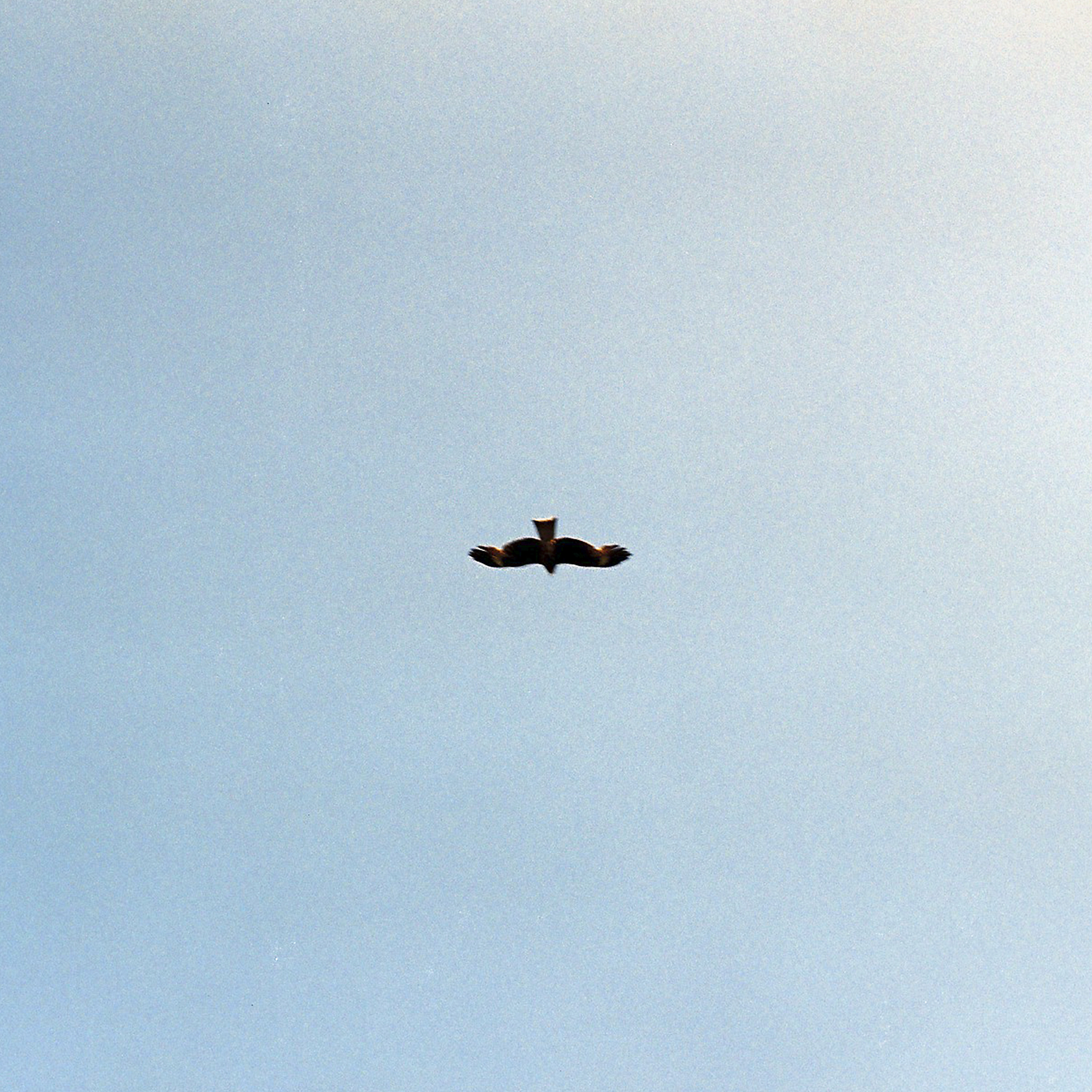 Cornell Inc. | 株式会社コーネルのイメージ画像3_3